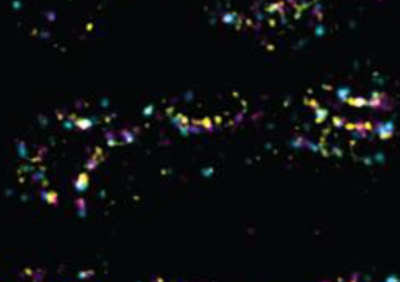 Quantitative Expansion Microscopy